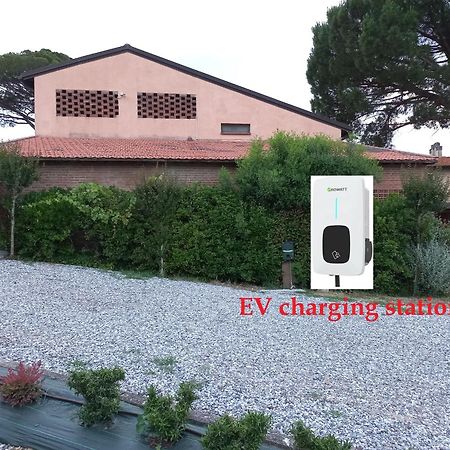 Agriturismo Buon Riposo - Country Resort In The Heart Of Tuscany San Giovanni a Corazzano エクステリア 写真