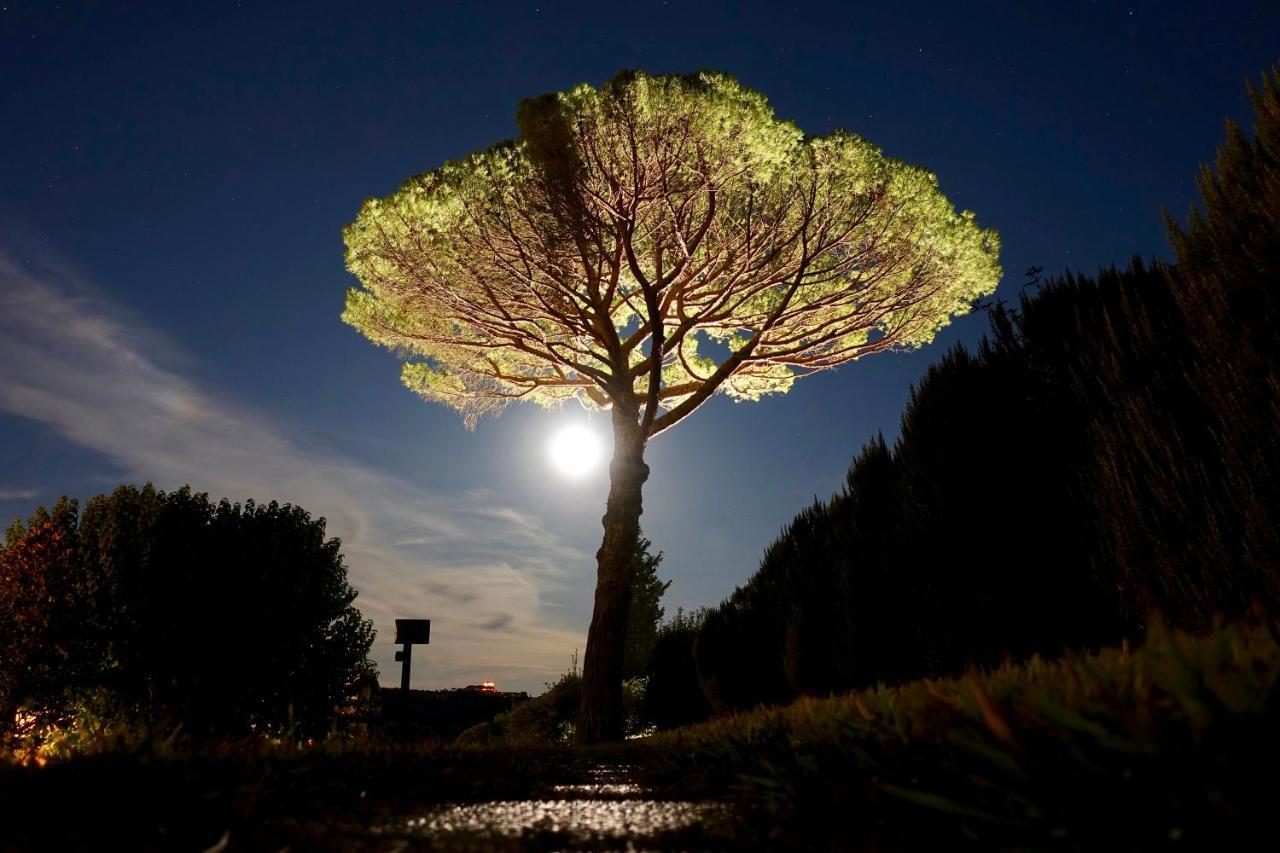 Agriturismo Buon Riposo - Country Resort In The Heart Of Tuscany San Giovanni a Corazzano エクステリア 写真