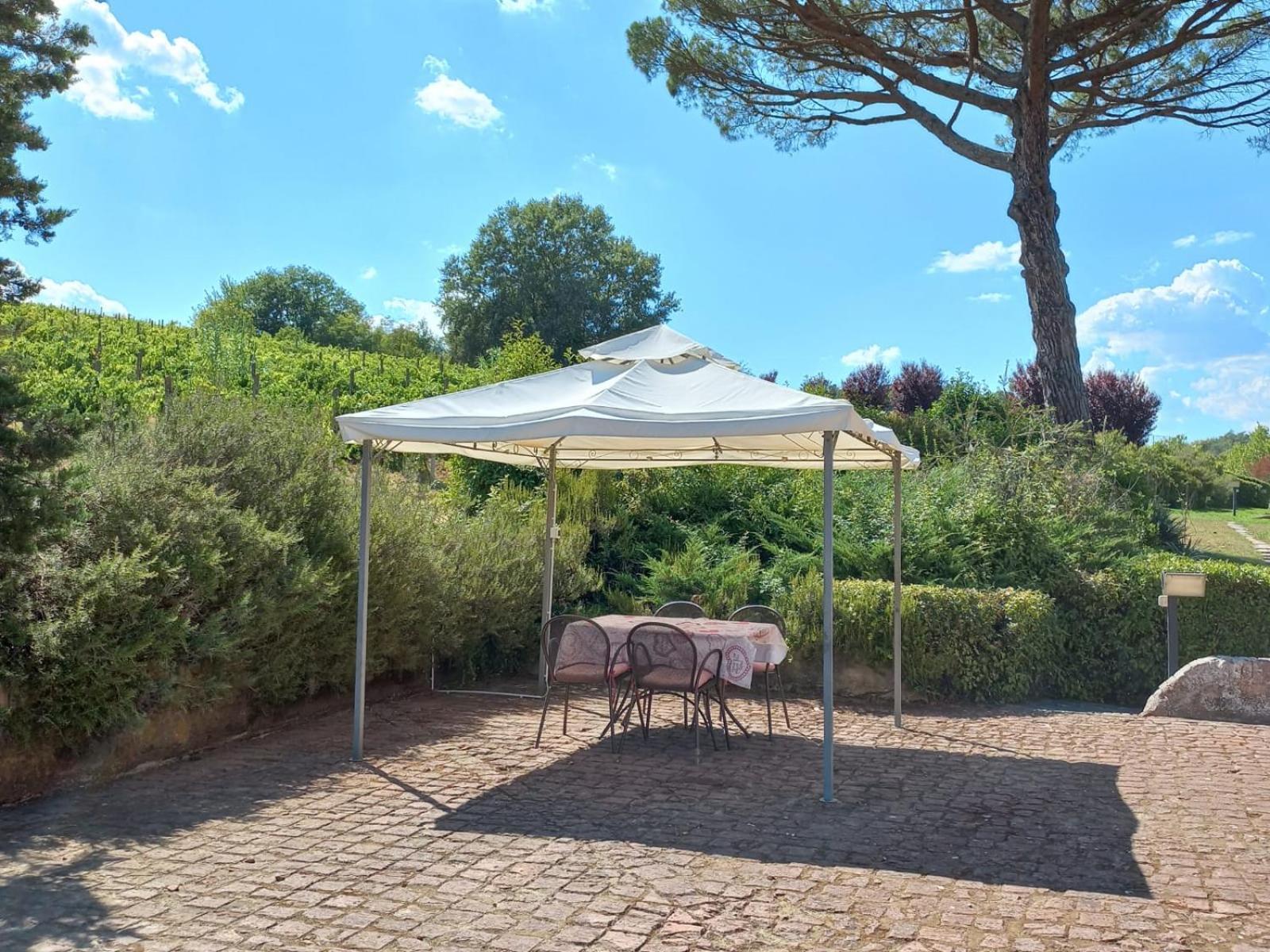 Agriturismo Buon Riposo - Country Resort In The Heart Of Tuscany San Giovanni a Corazzano エクステリア 写真