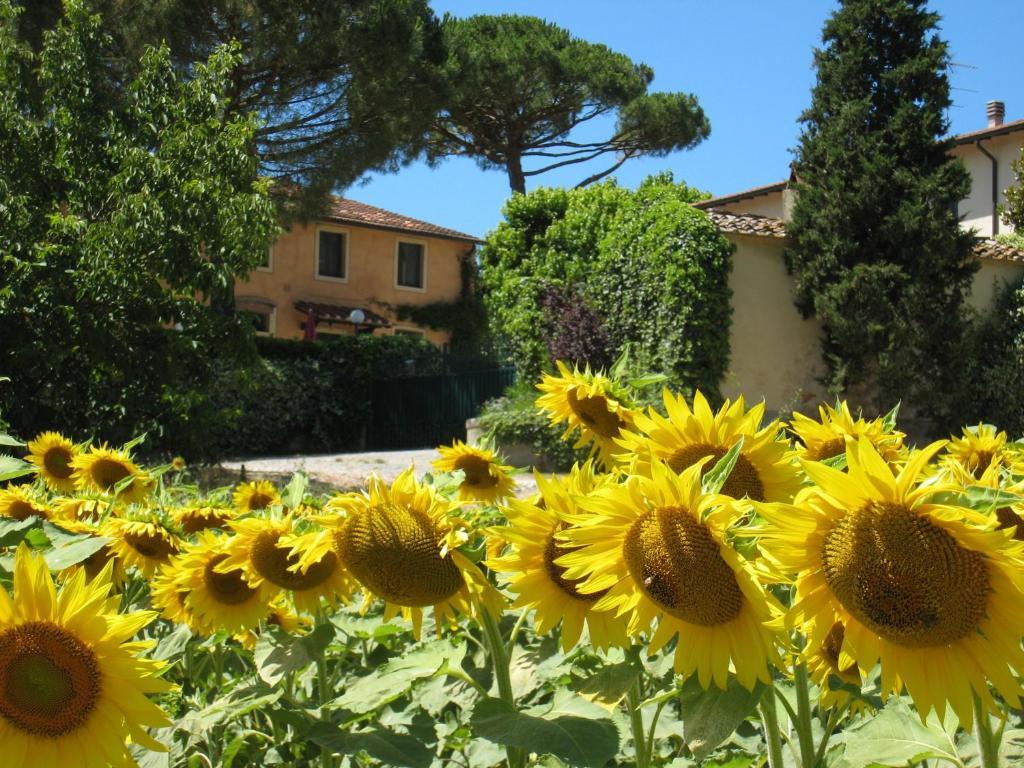 Agriturismo Buon Riposo - Country Resort In The Heart Of Tuscany San Giovanni a Corazzano エクステリア 写真